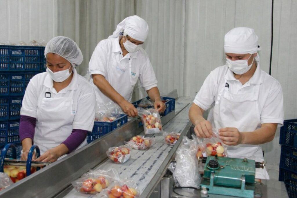 Curso Manipulador de Alimentos